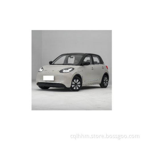 Wuling Bingo ev nuovo più approfondito Walkaround New Energy Vehicles Electric Sports Car